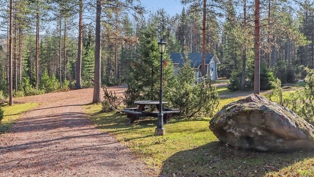Un área boscosa con un sendero de grava que lleva a una mesa de picnic y un farol.