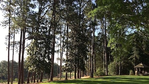 Un campo de golf bien cuidado con árboles altos y un pabellón.