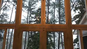 Una habitación con un ventanal grande, una araña y vistas a árboles altos.