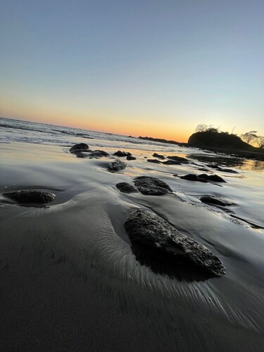 A rustic lodge surrounded by garden, nestled in a jungle setting - double Room 1