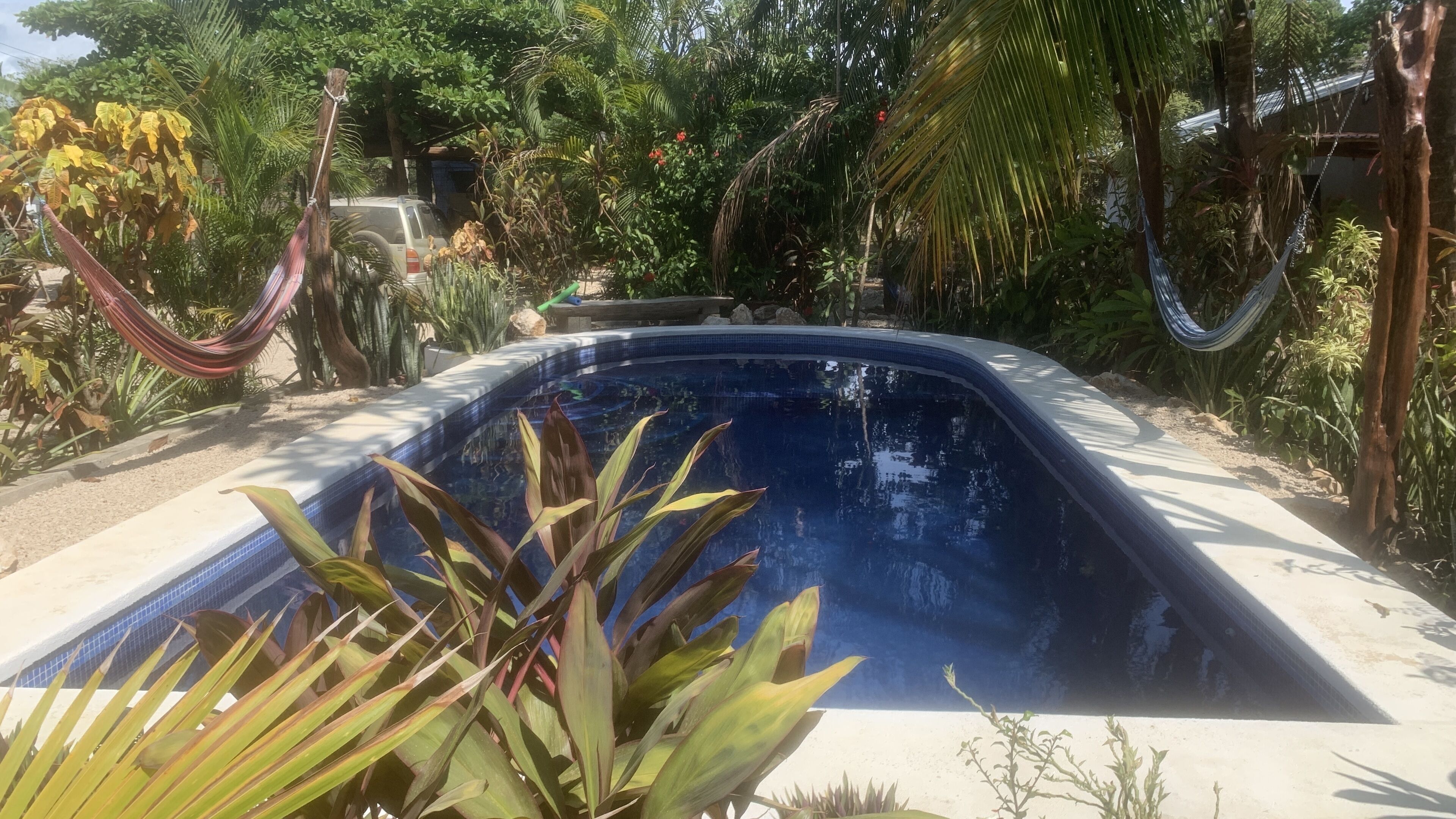 Une piscine entourée d’une végétation tropicale luxuriante et un hamac.
