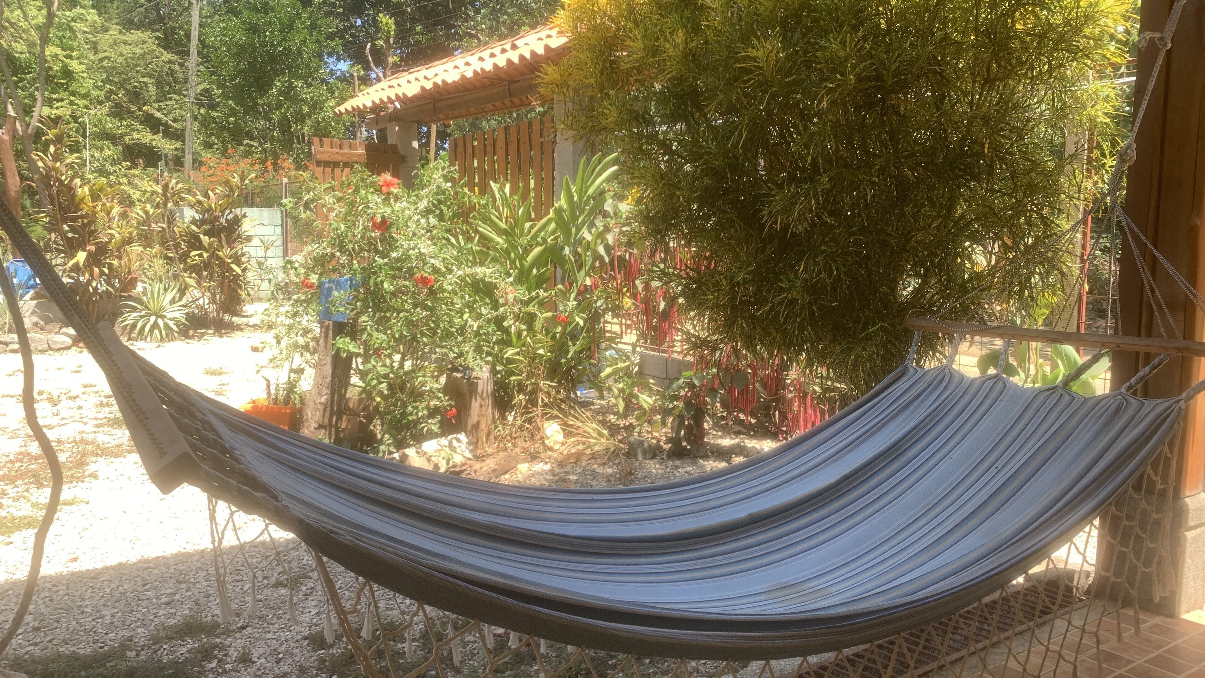 Eine Hängematte in einem Garten mit einer Holzkonstruktion und verschiedenen Pflanzen im Hintergrund.