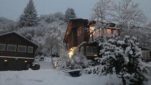 A snow-covered residential area with houses and trees.