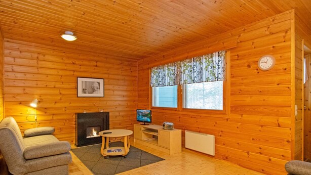 Ein gemütliches Blockhäuschen im Inneren mit Holzwänden, einem Kamin, einem Fernseher und zwei Sofas.