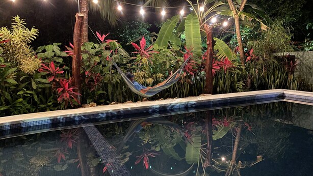 Una piscina con hamaca y luces colgantes, rodeada de plantas tropicales.