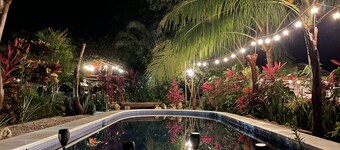 Rustic jungle lodge in a tranquil garden setting - Room 5 Family room