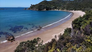 A coastal landscape with a sandy beach, clear blue waters, and dense green vegetation on the hills. - Little Bay Eco House - Kaka Cottage overlooking the ocean and up in the trees (Waikawau)