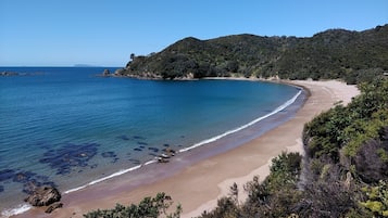 在海灘附近、沙灘巾