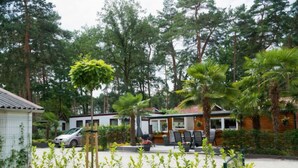 Una hilera de cabañas con un área verde al frente, rodeadas de árboles y algunas palmeras.