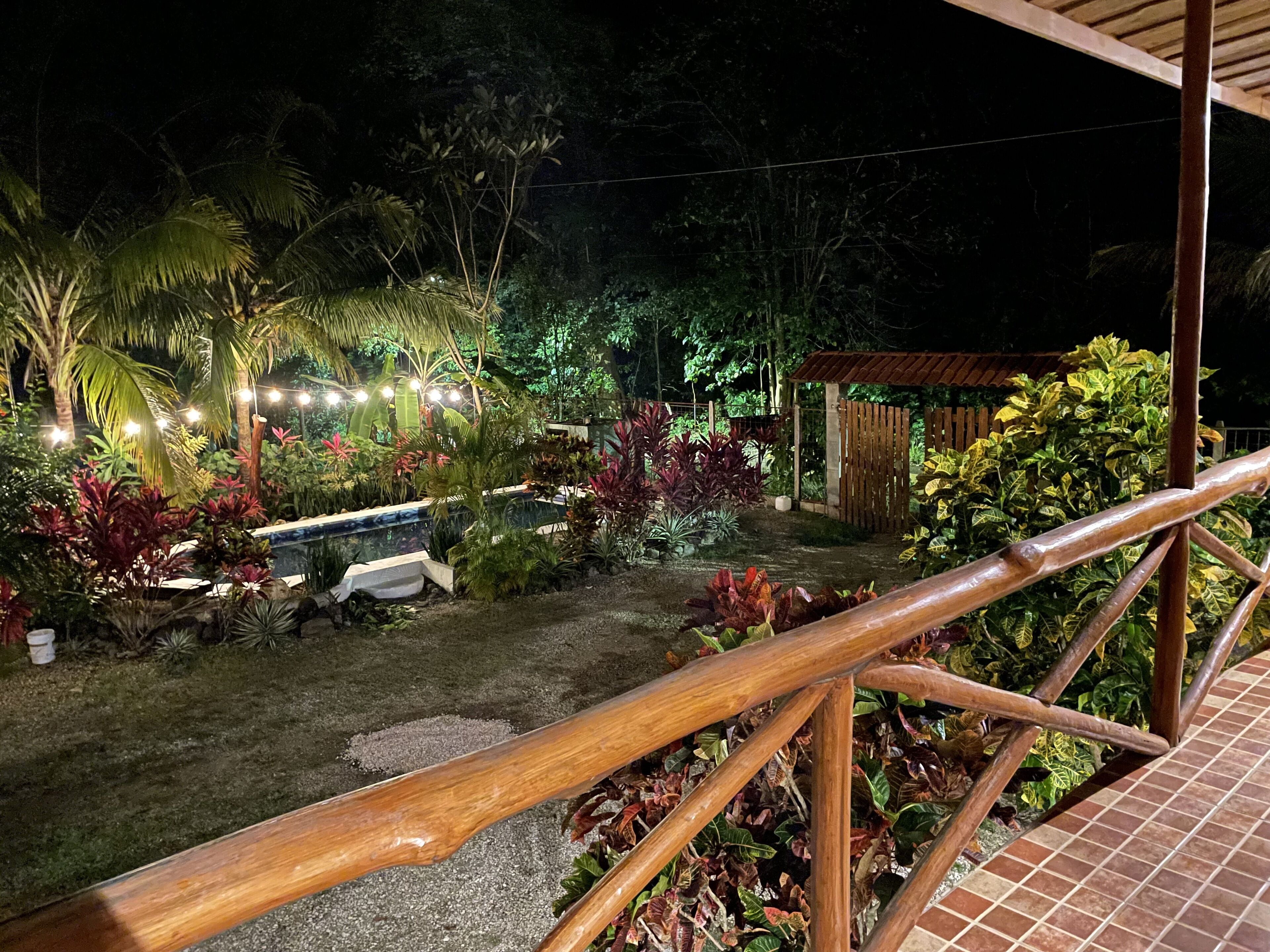 A nighttime garden with a wooden deck, string lights, and various tropical plants.
