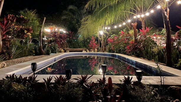 Un área de piscina nocturna con luces colgantes, palmeras y plantas tropicales.