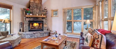 TV, fireplace, books, stereo