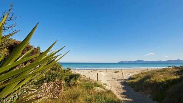 Un sentier qui longe la plage et mène à une étendue de sable fin, bordée d’une eau d’un bleu limpide et dominée par des montagnes lointaines.