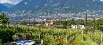 Vacation Apartment "Barrique" with Mountain View, Wi-Fi and Garden