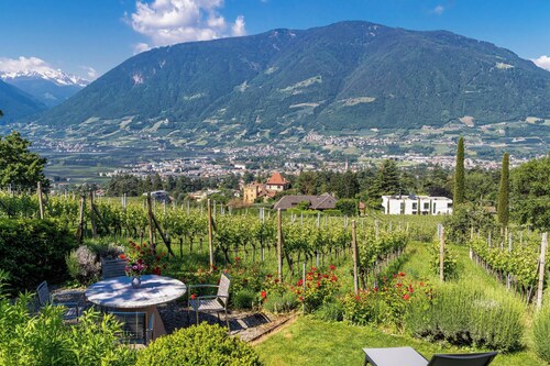 Vacation Apartment "Barrique" with Mountain View, Wi-Fi and Garden