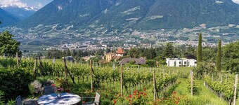 Vacation Apartment "Barrique" with Mountain View, Wi-Fi and Garden