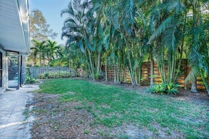 A backyard with a grassy lawn, palm trees, and a wooden fence.