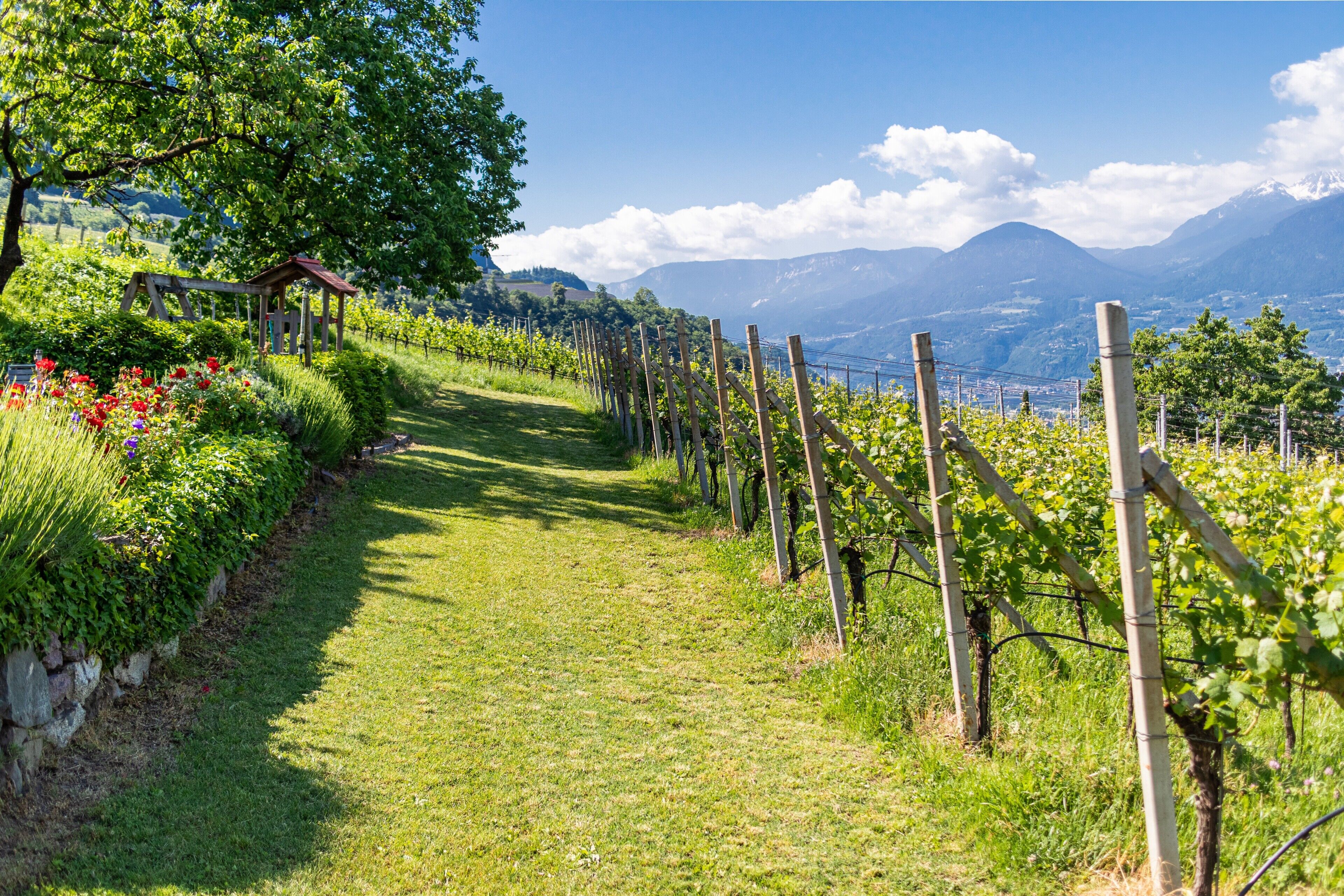Parco della struttura