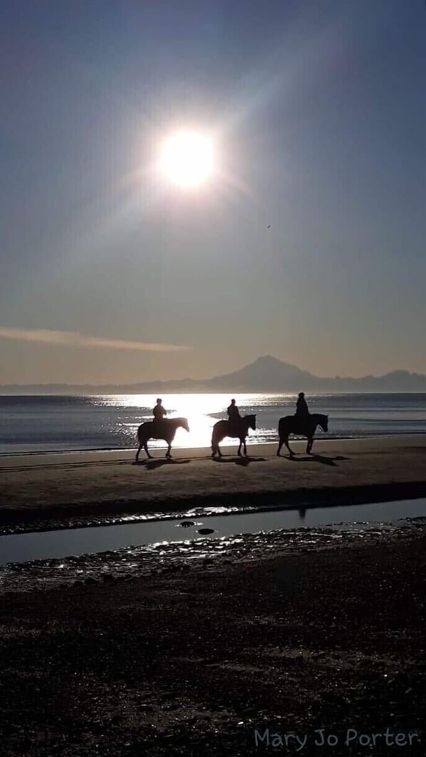 Ride along the beach on horseback, taking in the breathtaking views of the surrounding mountains.