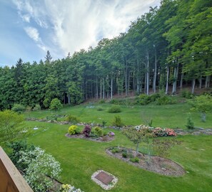Un jardín ajardinado con diversas plantas y árboles, un cielo despejado y vistas a una ladera boscosa.