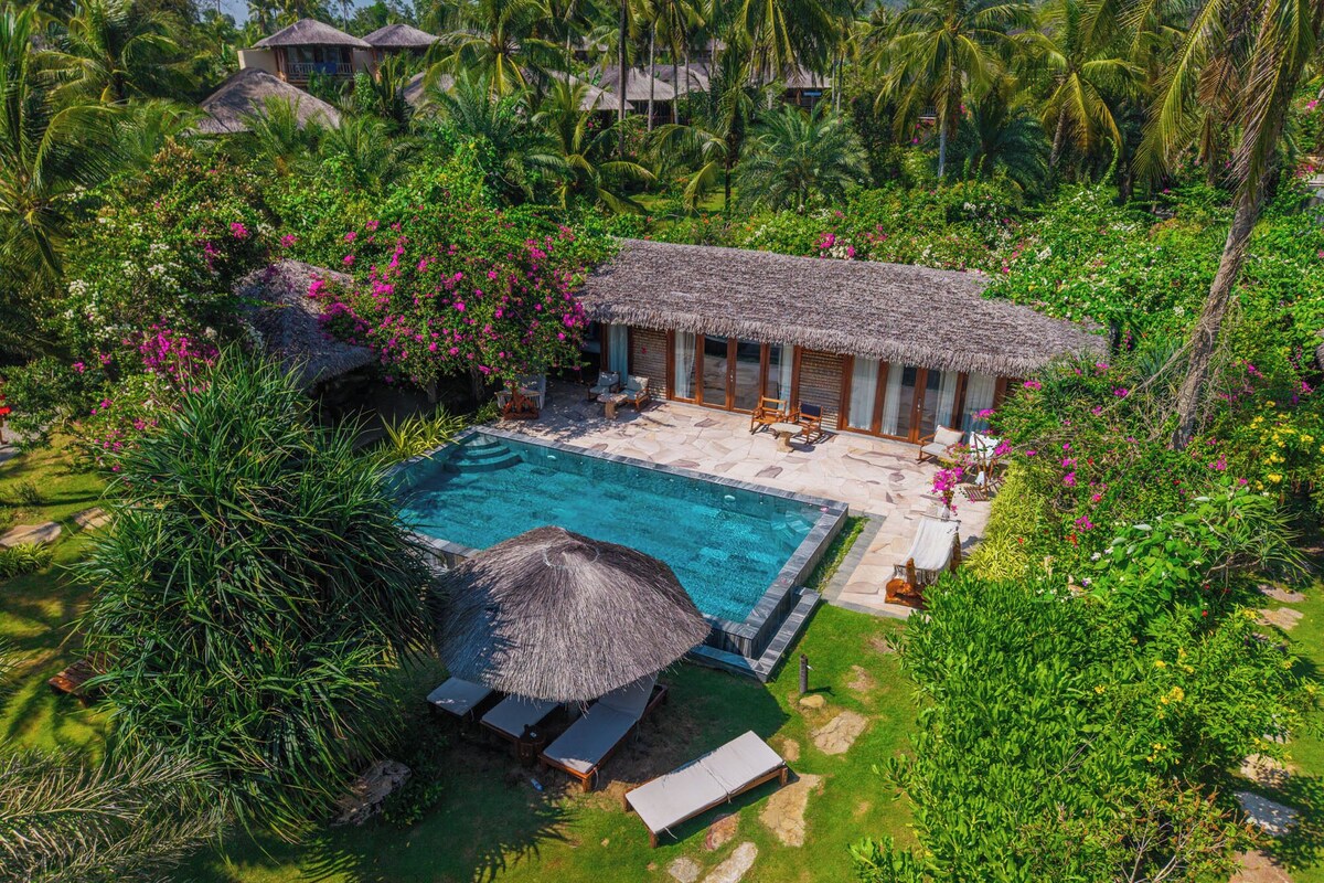 A resort with a swimming pool, thatched-roof structures, and lush greenery.