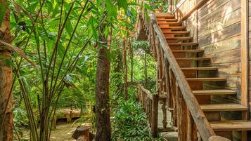 Premium-Zimmer (Jungle Bungalow King) | Minibar, Zimmersafe, Schreibtisch, laptopgeeigneter Arbeitsplatz