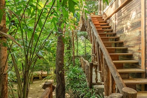 Premium-Zimmer (Jungle Bungalow King)