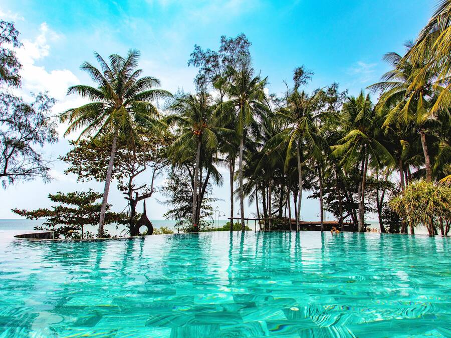 Una piscina infinita con agua turquesa cristalina, rodeada de palmeras y vista al océano.