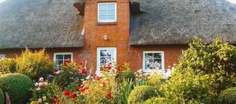 Apartment Eva-Lotta - Watt'n luck green dike