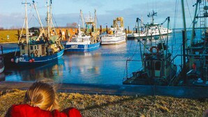 Ein Hafen mit mehreren dort vertäuten Fischerbooten, einer grasbewachsenen Fläche im Vordergrund und wolkenlosem Himmel.
