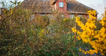 Ferienwohnung Malin - Watt'n Glück Grüner Deich