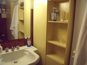 Shower, hair dryer