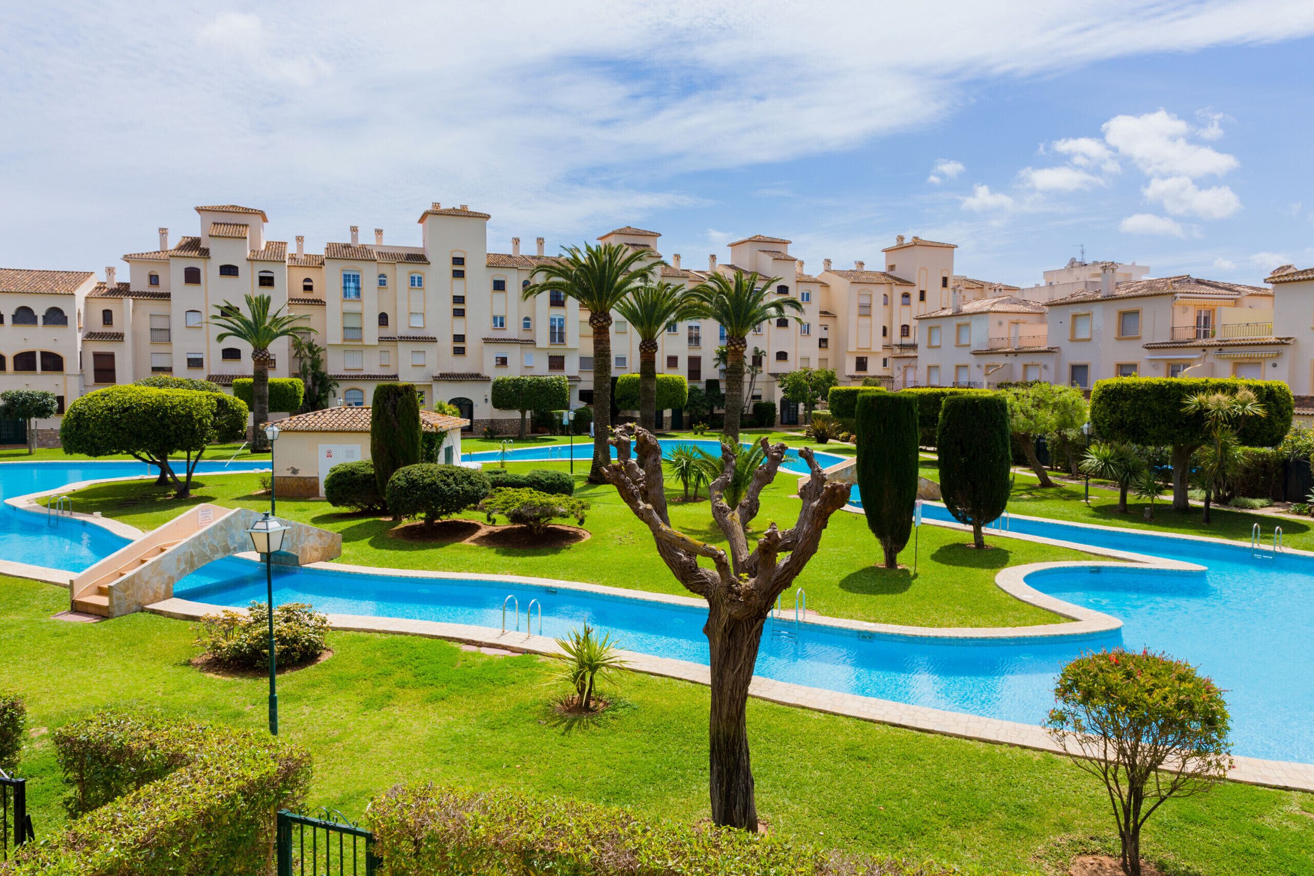 Una piscina rodeada de césped cuidado y palmeras, con una hilera de edificios al fondo.