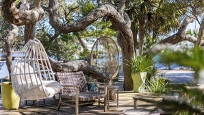 Une terrasse en bois agrémentée de meubles en osier, dont un fauteuil suspendu et un fauteuil rembourré, le tout entouré de grands arbres et de plantes en pot.