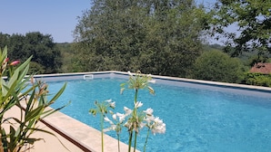 Una piscina rectangular con agua cristalina azul, rodeada de follaje y árboles.