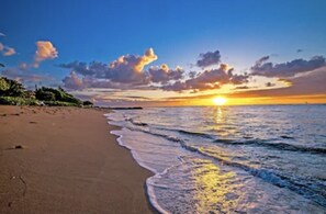 On the beach, sun-loungers, beach towels - ⭐️⭐️⭐️⭐️⭐️ 5-Star Waipouli Beach Resort Amazing Ocean view from every room  (Kapaʻa)