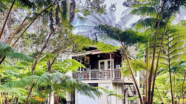 Un edificio de dos plantas rodeado de abundante vegetación tropical.