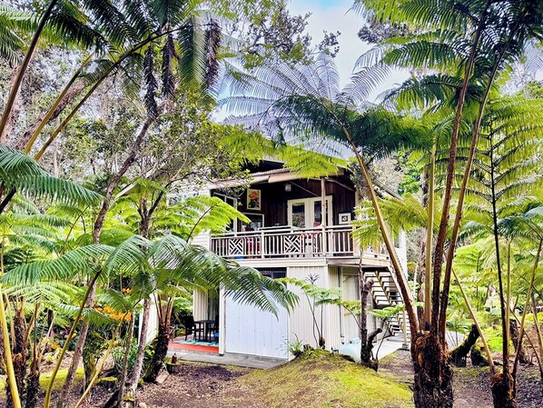 A two-story building surrounded by dense tropical foliage. - Maile Treehouse in Volcano, Hawaii is "Magical!" (Volcano)
