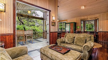 Smart TV, chimenea, libros y biblioteca musical