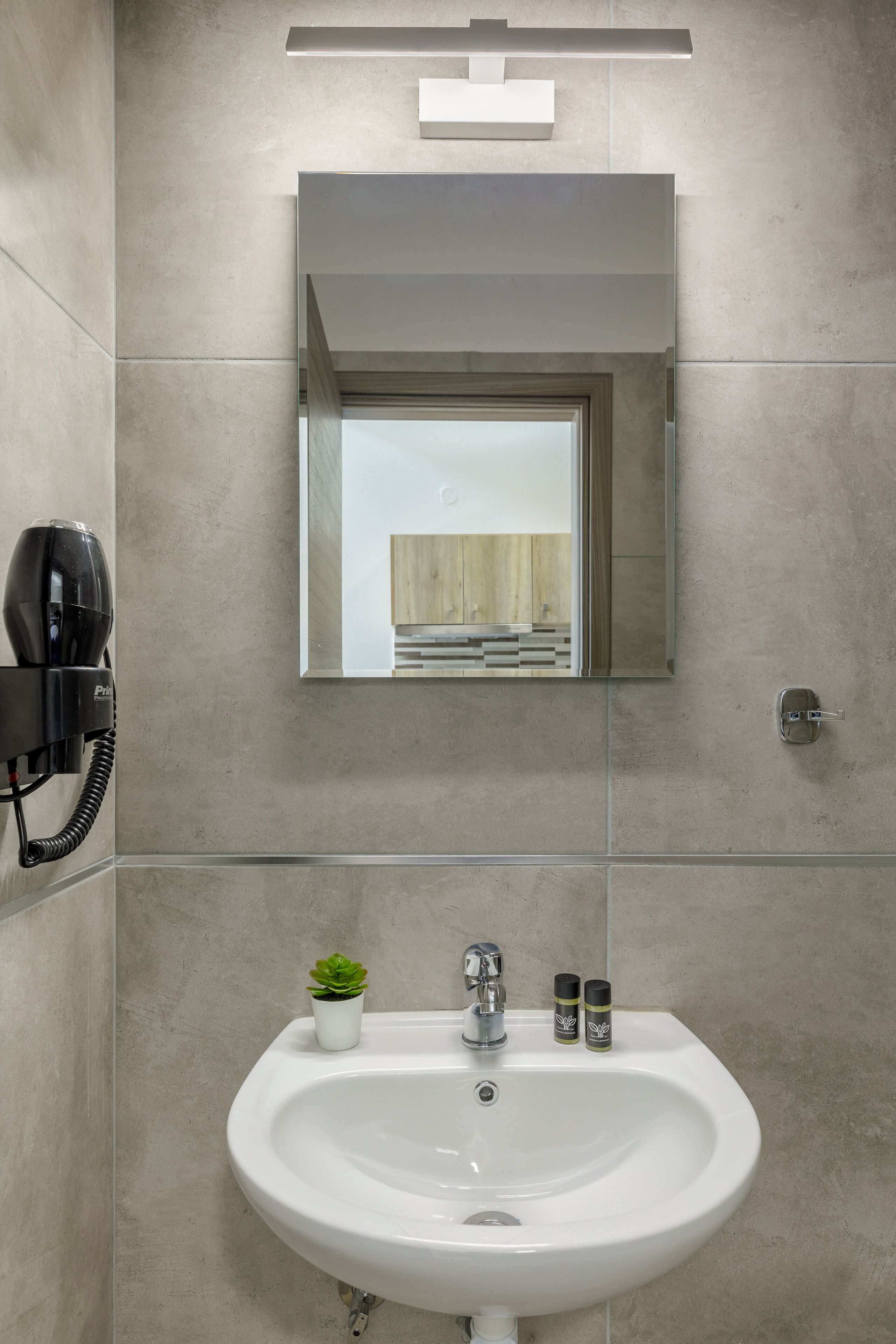 A modern bathroom with a white sink, a hairdryer, and a small potted plant.