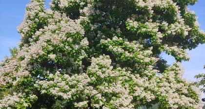Cottage by the Woods - Quiet getaway - In Oregon wine country.