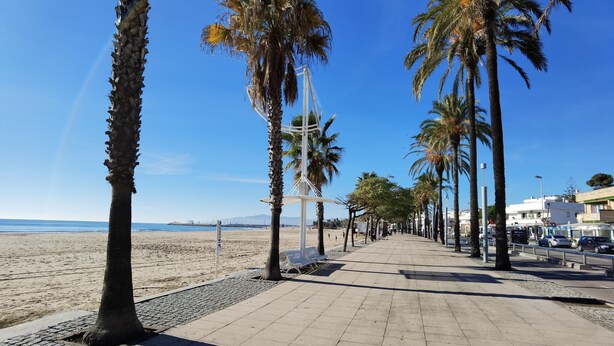 A seaside promenade with palm trees, a tiled walkway, and a beach in the background.