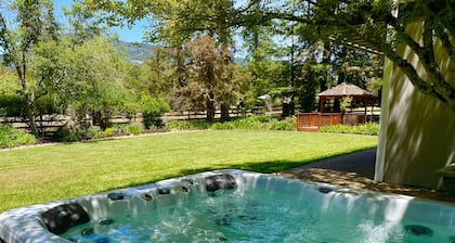 Modernist Wine Country Estate Home - Newly remodeled & centrally located JACUZZI
