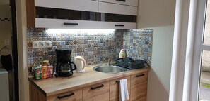 Fridge, microwave, oven, dishwasher - MONIKA´S APARTMENT / spa city centre - RENOVATION 2021 (Karlovy Vary)