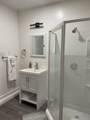 Regadera, secadora de cabello, bidet, toallas 