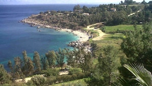 Eine Küstenlandschaft mit Strand, felsigem Ufer und umgebender Vegetation.