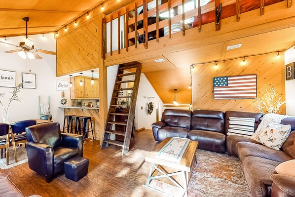 TV, fireplace, books