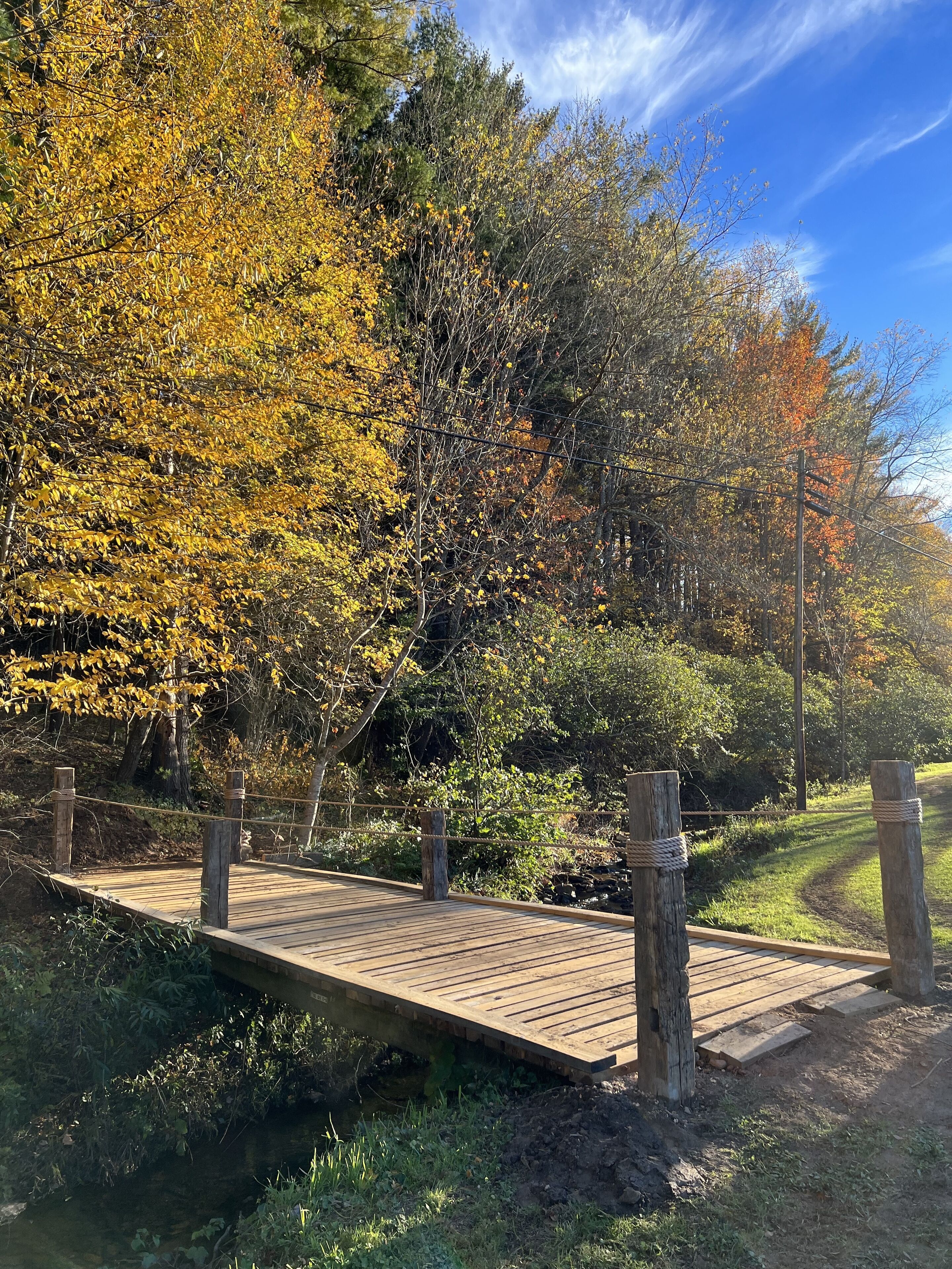 A wooden bridge over a stream in a park with autumn foliage.