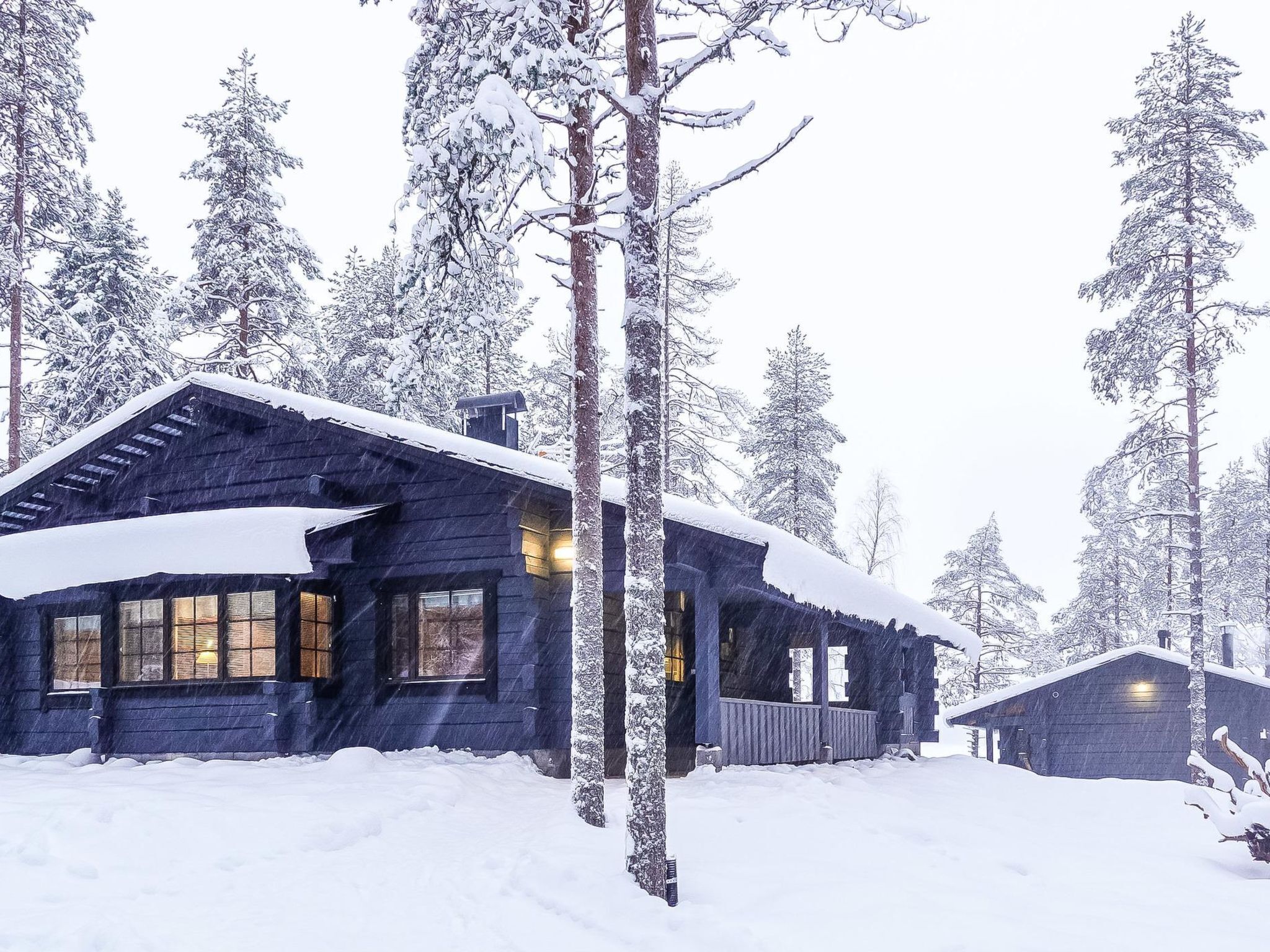 Eksteriør