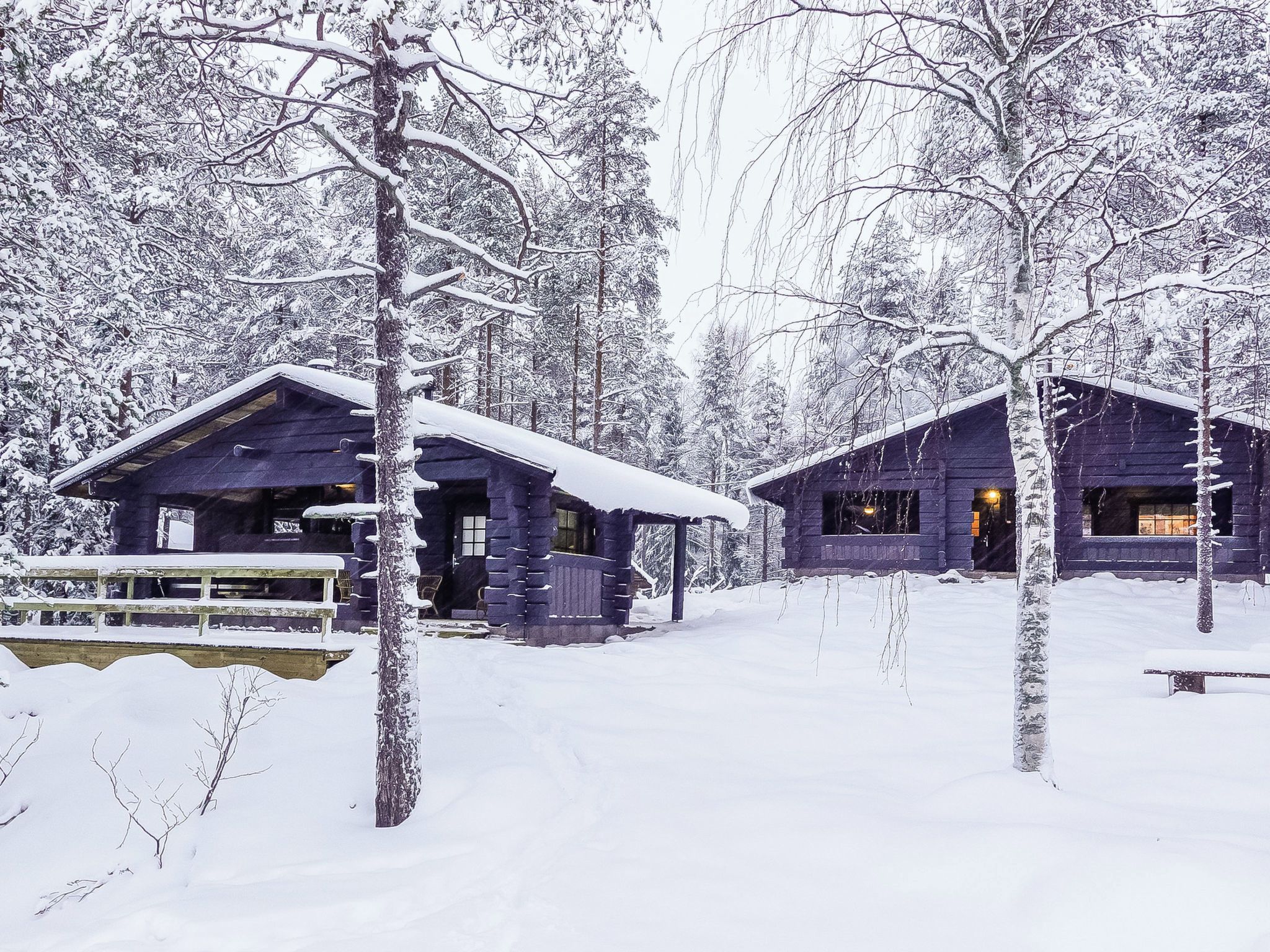 A cabin with a wooden exterior, surrounded by snow-covered trees, and a bench in the foreground.
